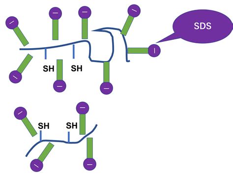 sds brrup|SDS Database 